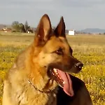 Casa di campagna Campos *