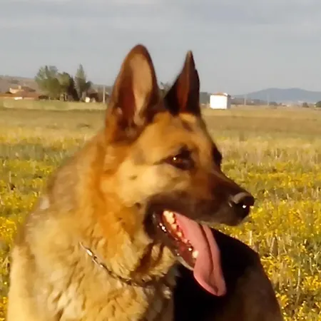 カントリーハウス Campos *