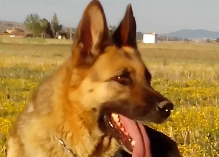 Séjour à la campagne Campos *
